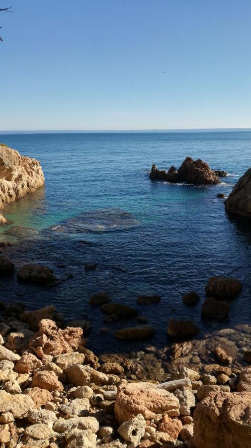 Apartamento Con Piscina L' Ancora カレリャ・デ・パラフルジェリ エクステリア 写真