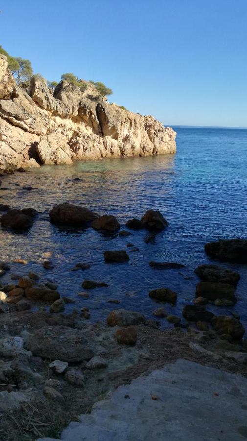 Apartamento Con Piscina L' Ancora カレリャ・デ・パラフルジェリ エクステリア 写真