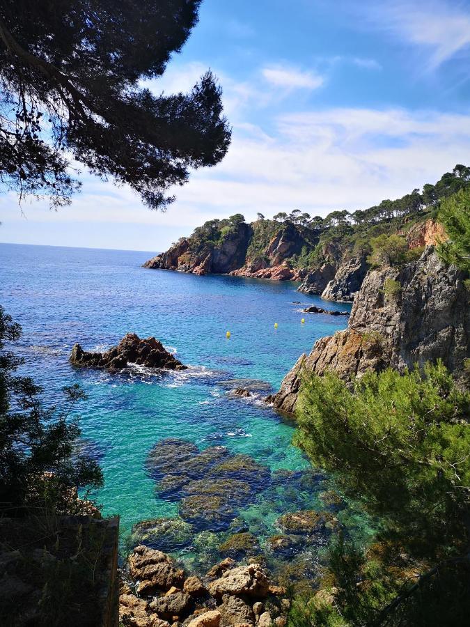 Apartamento Con Piscina L' Ancora カレリャ・デ・パラフルジェリ エクステリア 写真